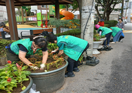 안양3동 주민자치위원회 등 4개 사회단체 가을꽃 식재 이미지