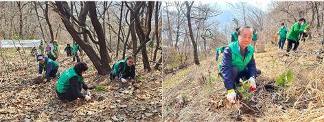 안양3동 새마을부녀회, 새마을지도자협의회 식목일 기념 나무 식재 이미지