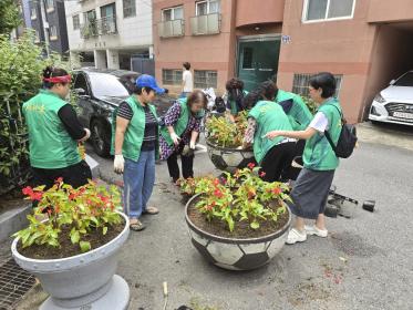 안양3동 바르게살기위원회, 새마을부녀회 가을꽃 식재 활동 실시 이미지