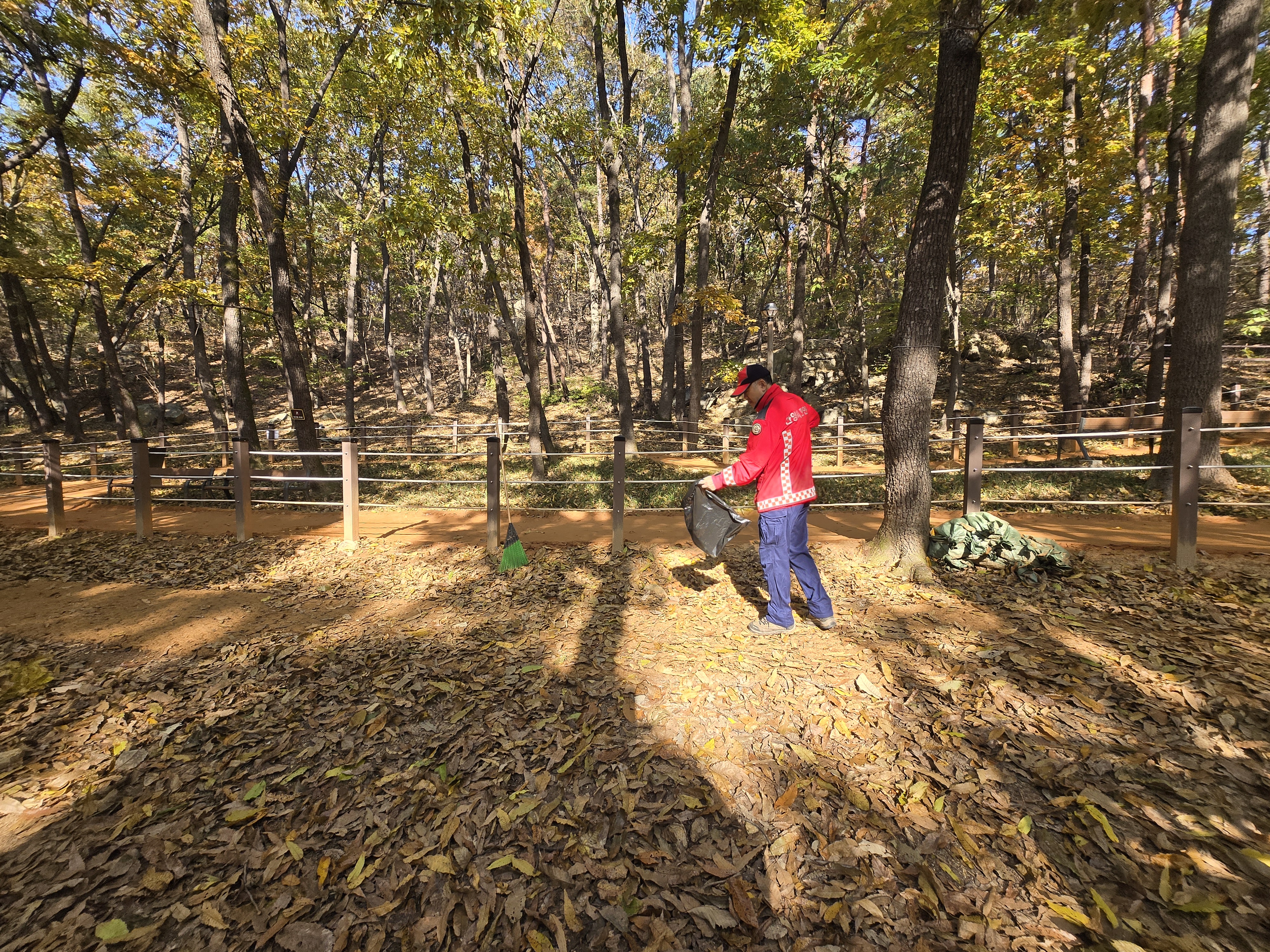 2025.11.05. 산불예방 홍보캠페인 이미지
