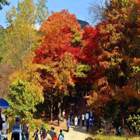 [12-9] 서울대수목원 전면 개방 및 명칭 변경 이미지