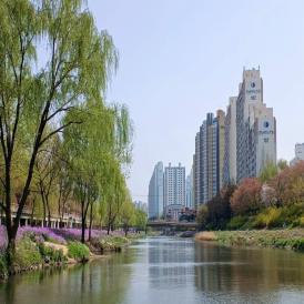 ［12-13］안양천 국가정원 추진으로 건강문화벨트 조성 이미지