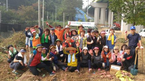 사랑의 채소밭 '고구마 캐기'(10.20) 이미지