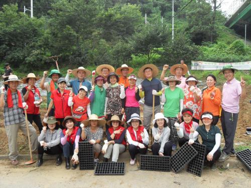 사랑나눔 채소밭 운영 이미지