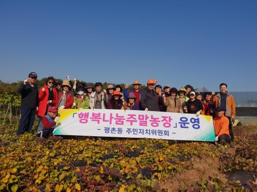 주민이 함께하는“행복나눔 주말농장”고구마 수확 이미지