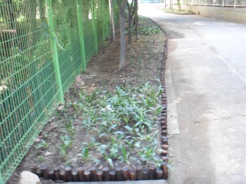 희망근로 작업현장(꽃길가꾸기)  이미지