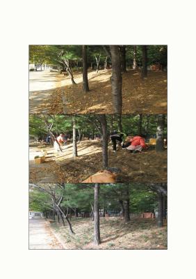 희망근로사업의 맥문동 식재(신기로 ) 이미지