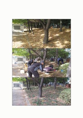 맥문동 식재작업(한신아파트 뒤 산책로) 이미지