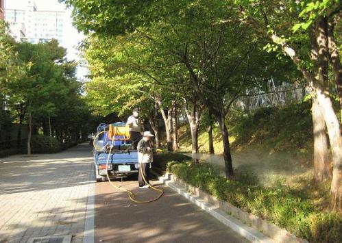 맥문동 식재후 물주기 작업(꿈마을1로 산책로) 이미지