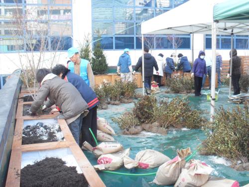 희망근로 범계동 옥상 조경사업(2009.11월) 이미지