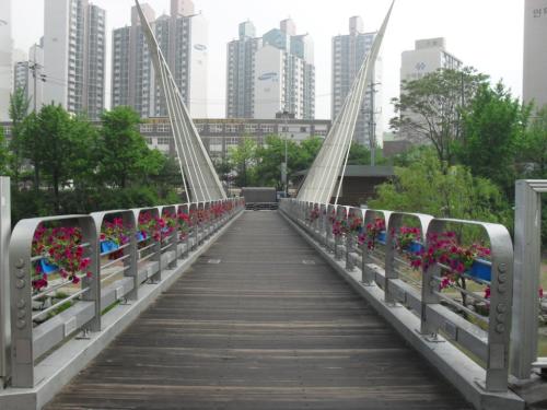 평촌동 학의천변 꽃길 조성 이미지