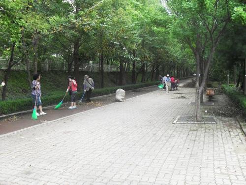 태풍피해복구작업-4 이미지