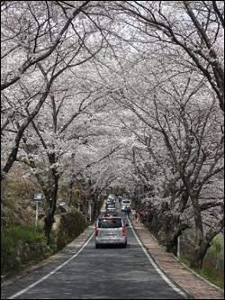 관양2동 인덕원경로당 야유회  이미지