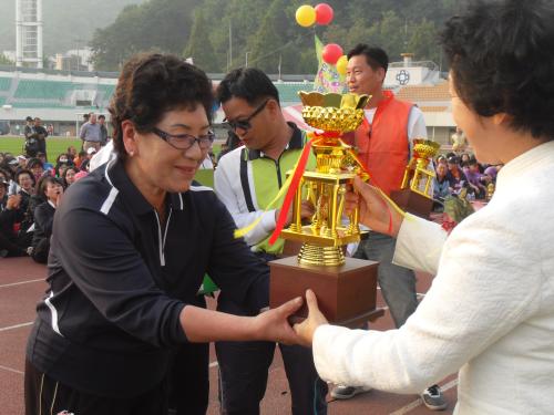 2011동안구민 한마음 체육대회 이미지