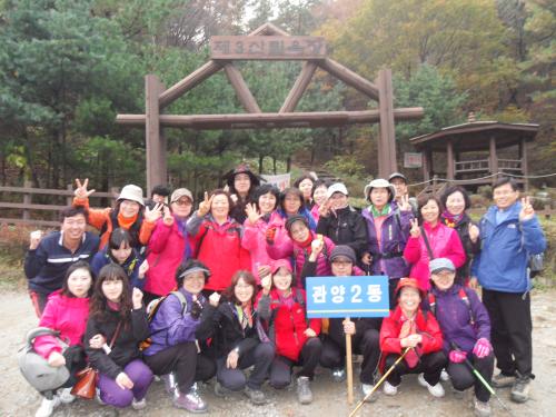 안양 시민등산대회 개최  이미지