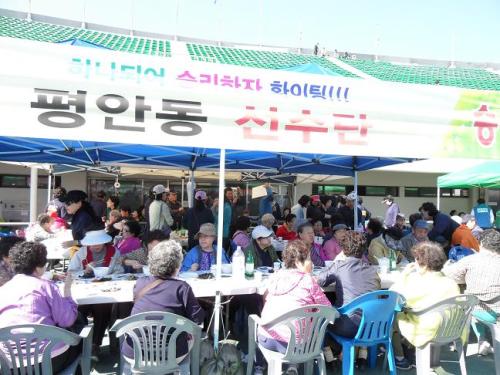 안양시민 체육대회 참가 ( 2013년 ) 이미지