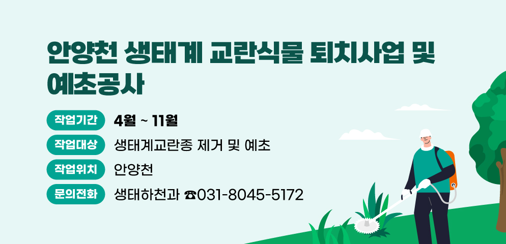 안양천 생태계 교란식물 퇴치사업 및 예초공사
○작업기간 : 2025년 4월 ~ 11월
○작업대상 : 생태계교란종 제거 및 예초
○위치 : 안양천
○문의 : 031-8045-5172