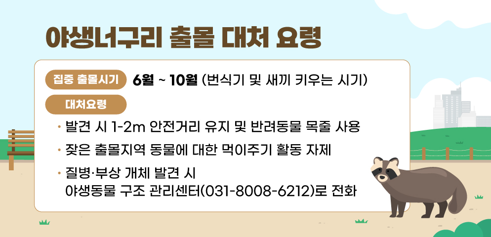 야생너구리 출몰 대처 요령
○집중 출몰시기 : 6월부터 10월(번식기 및 새끼 키우는 시기)
○대처요령 
 · 발견 시 1-2m 안전거리 유지 및 반려동물 목줄 사용
 · 잦은 출몰지역 동물에 대한 먹이주기 활동 자제
 · 질병·부상 개체 발견 시 야생동물 구조 관리센터(031-8008-6212)로 전화