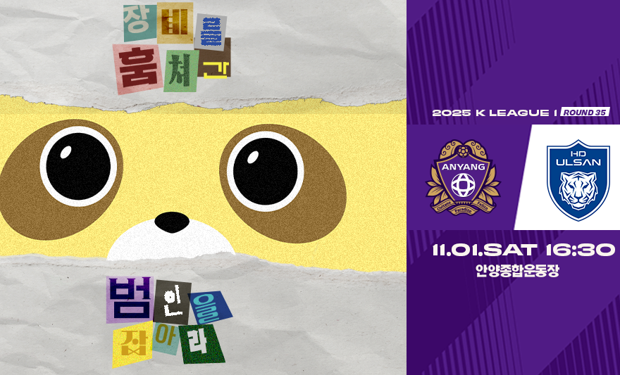 FC안양 홈경기(11.1.)