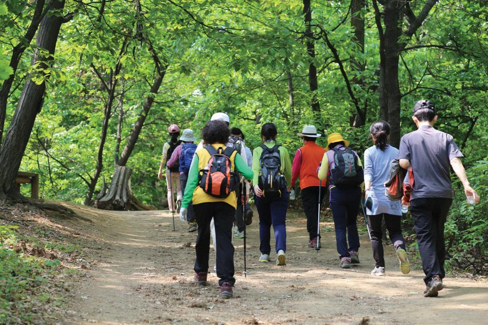 수리산 산림욕장 대표 이미지