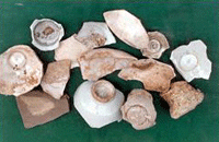 비산동 도요지 이미지