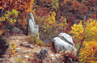 삼막사 남, 녀 근석 이미지